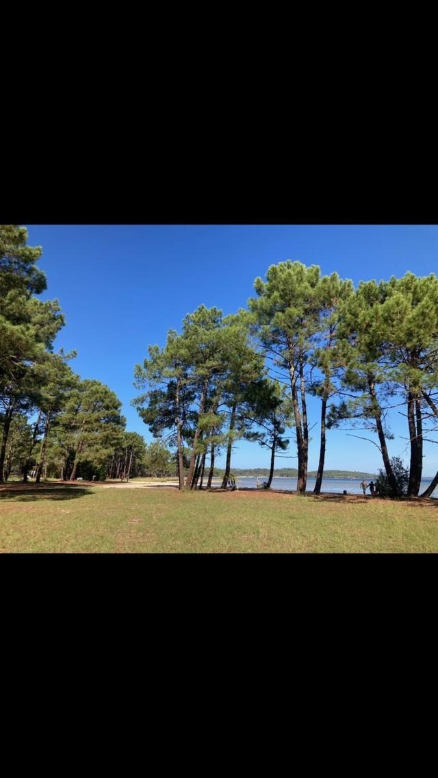 Villa Dune Biscarrosse Eksteriør billede