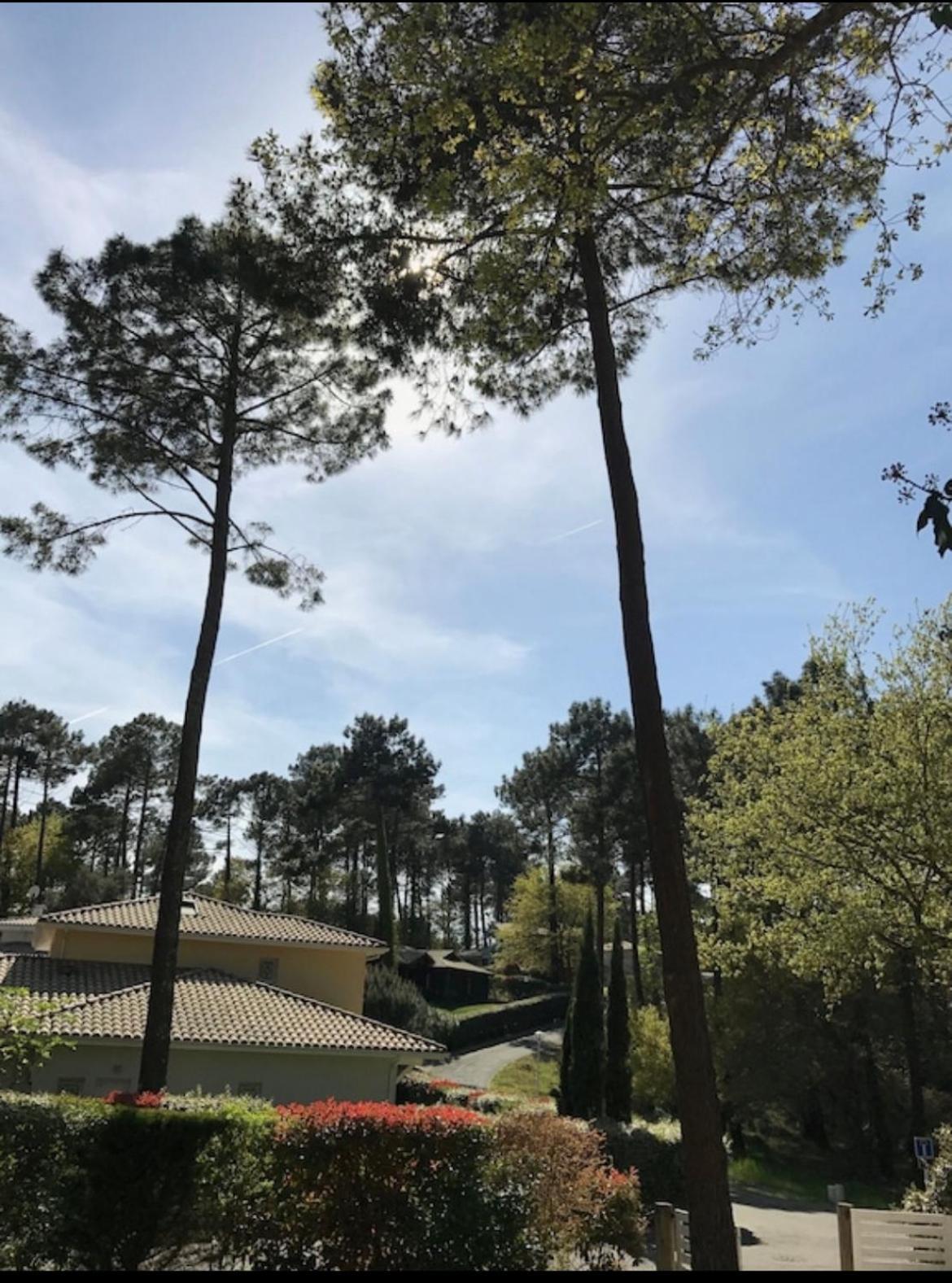 Villa Dune Biscarrosse Eksteriør billede